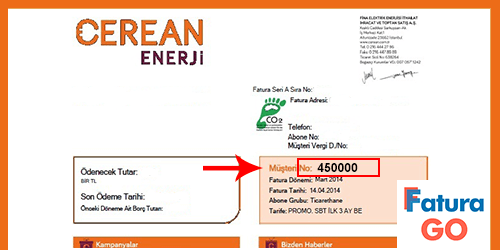 Cerean Enerji Fatura Örneği